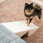 Dual-Function Dog Ramp & Step Stool